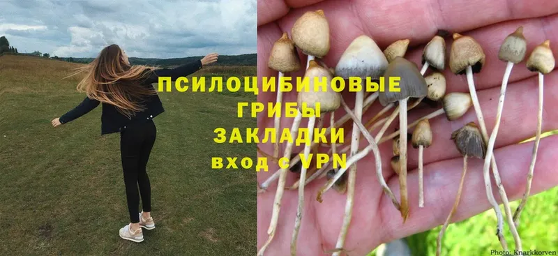 Галлюциногенные грибы Psilocybine cubensis  кракен ONION  Десногорск 